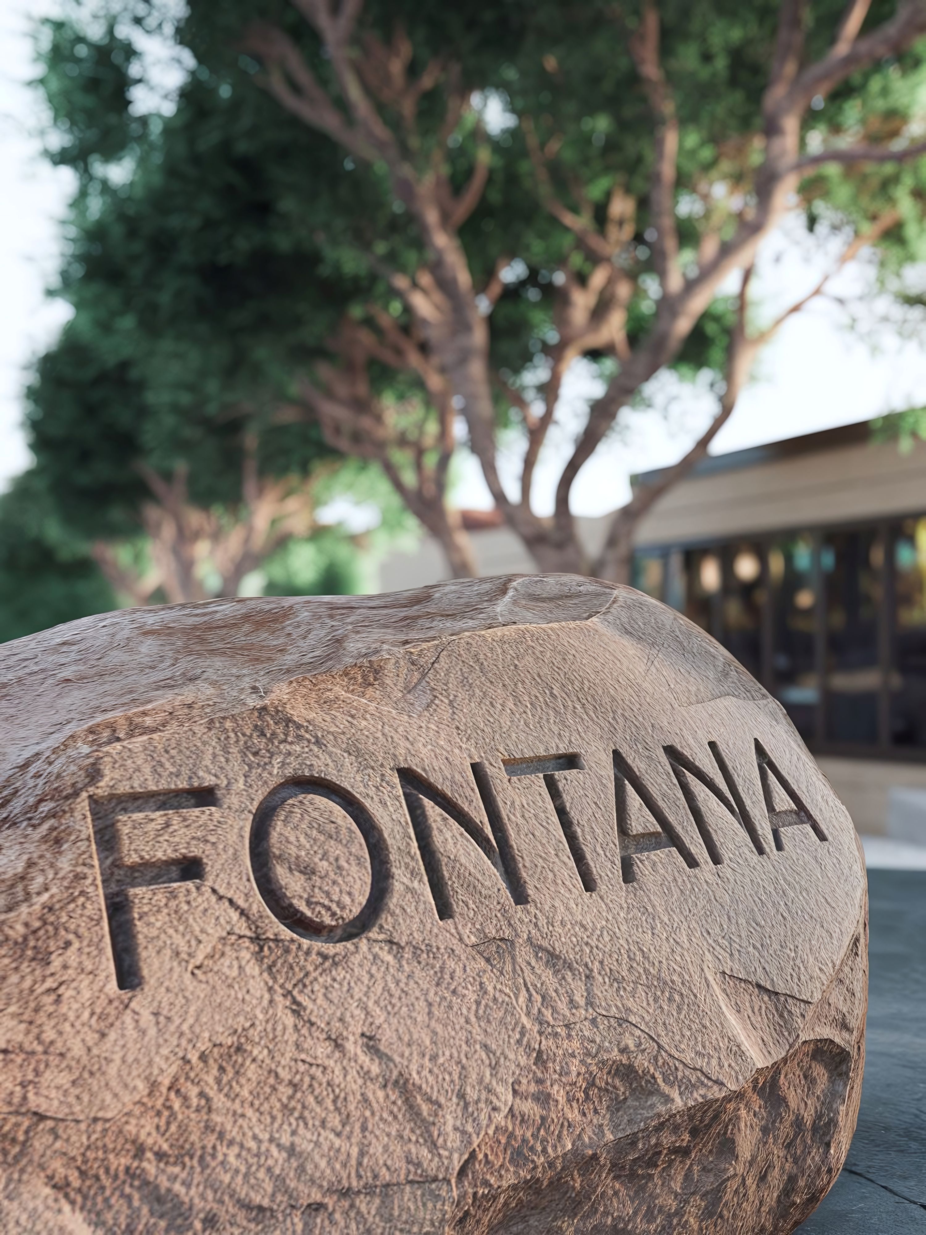 Fontana Shutterstock 2512717211