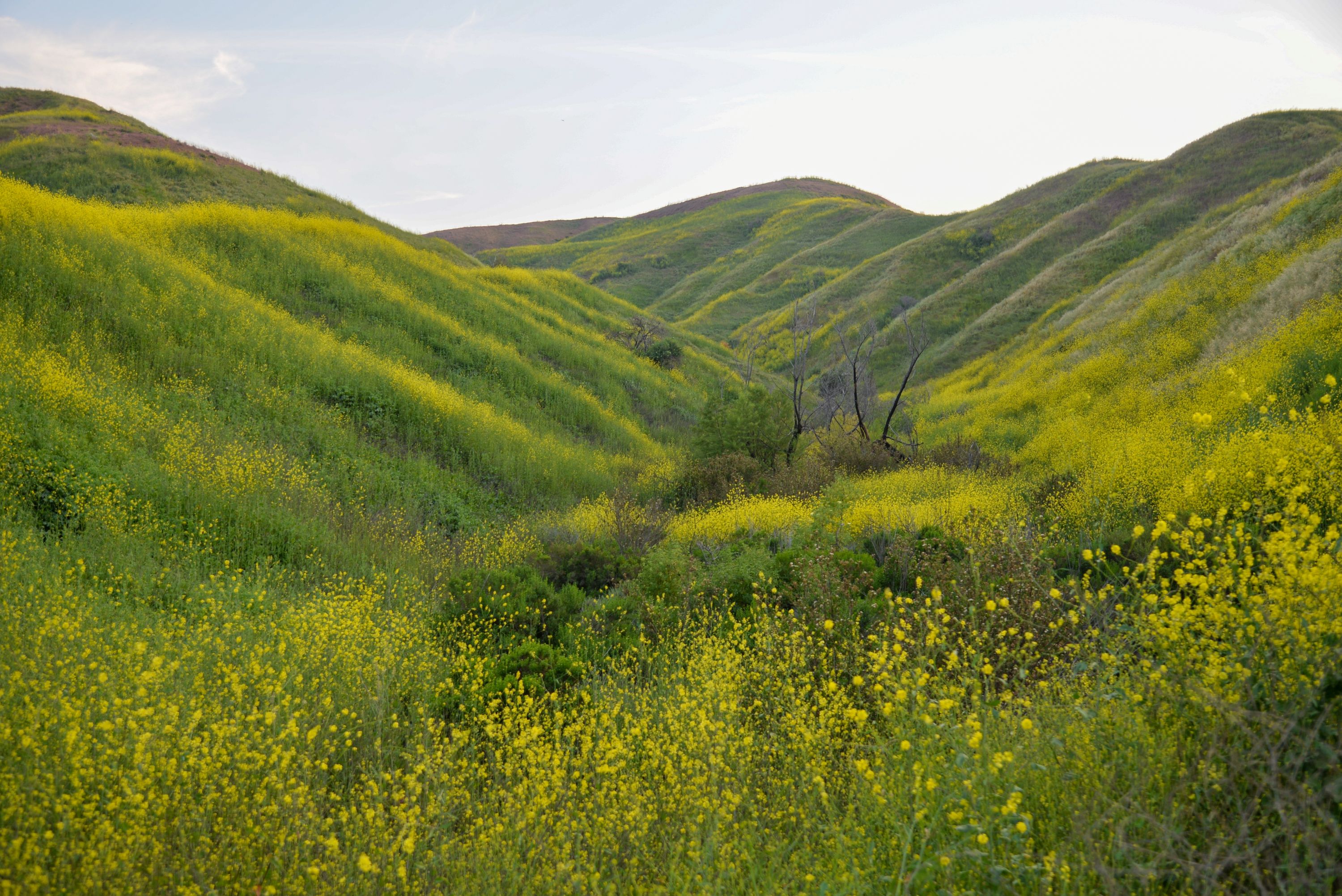 Chino Hills Shutterstock 2702004299